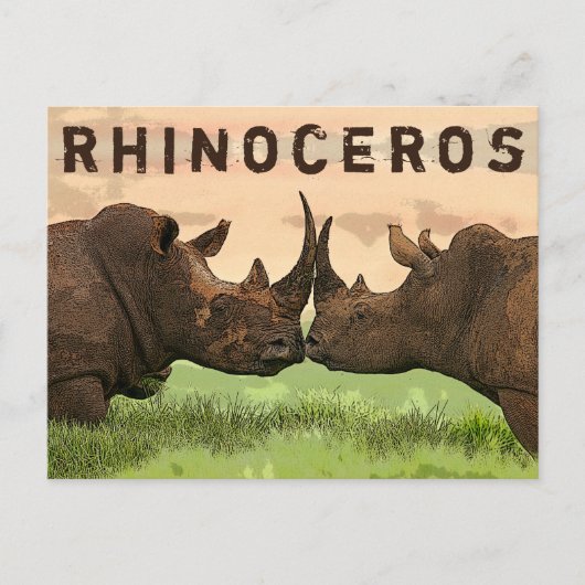 Carte Postale rhinocéros (Devant)