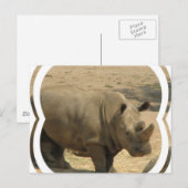 Carte postale Rhinoceros (Devant / Derrière)