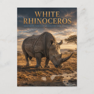 Carte Postale Rhinocéros Blanc Savane ANIMAUX