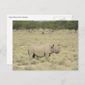 Carte Postale rhinocéros d'Etosha (Devant / Derrière)