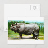 Carte Postale Rhinoceros indien (Devant / Derrière)