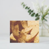 Carte Postale Rhinoceros Love (Debout devant)