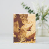 Carte Postale Rhinoceros Love (Debout devant)