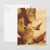 Carte Postale Rhinoceros Love (Devant / Derrière)