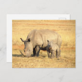 Carte Postale rhinocéros mignons en afrique (Devant / Derrière)