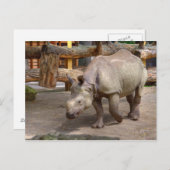 Carte Postale Rhinoceros unicornis (Devant / Derrière)