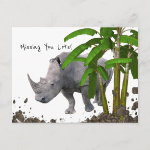 Carte postale Rhinoceros Vous manquez beaucoup!