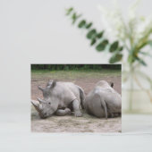 Carte Postale Rhinos (Debout devant)