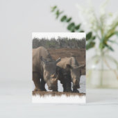 Carte postale Rhinos noir (Debout devant)