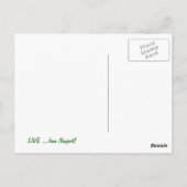 Carte Postale Rhode Island, Newport Mansions photo (Dos)