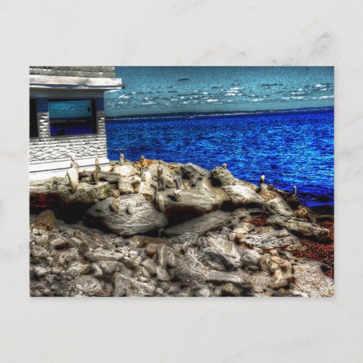 Carte Postale Rhode Island, photo de Narragansett (Devant)