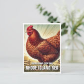 Carte Postale Rhode Island State Bird Rhode Island Red (Debout devant)