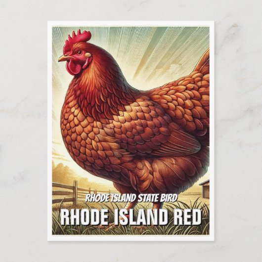 Carte Postale Rhode Island State Bird Rhode Island Red (Devant)
