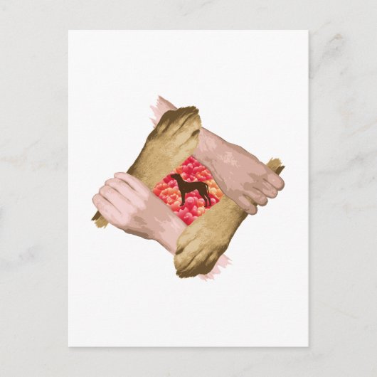 Carte Postale Rhodesian Ridgeback (Devant)