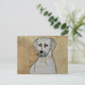 Carte Postale Rhodesian Ridgeback (Debout devant)