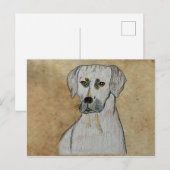 Carte Postale Rhodesian Ridgeback (Devant / Derrière)