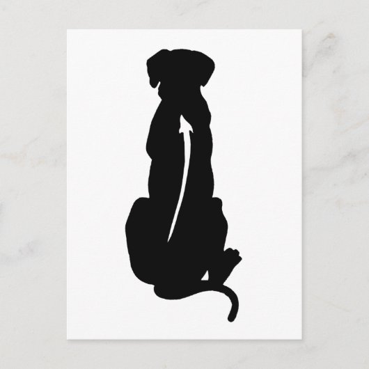 Carte Postale Rhodesian Ridgeback Chien race Spine (Devant)