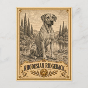 Carte Postale Rhodesian Ridgeback, Objet de Patrimoine Canin Vin
