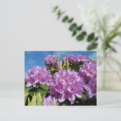 Carte Postale Rhododendron (Debout devant)