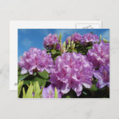 Carte Postale Rhododendron (Devant / Derrière)