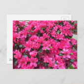 Carte Postale rhododendron (Devant / Derrière)