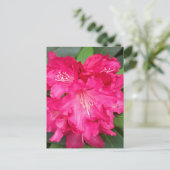 Carte Postale Rhododendron En Rose (Debout devant)