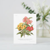Carte Postale Rhododendron hybride multicolore (Debout devant)