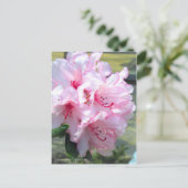 Carte Postale Rhododendron 'Hydon Down' [Carte postale] (Debout devant)
