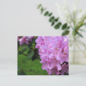 Carte Postale Rhododendron pittoresque (Debout devant)