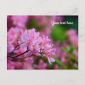 Carte postale Rhododendron rose (Devant)