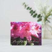 Carte Postale rhododendron rose (Debout devant)