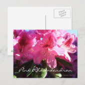 Carte Postale rhododendron rose (Devant / Derrière)