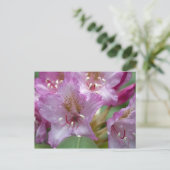 Carte Postale Rhododendron rose (Debout devant)