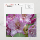 Carte Postale Rhododendron rose (Devant / Derrière)