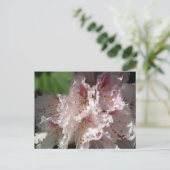 Carte Postale Rhododendron rose 2 (Debout devant)