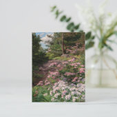 Carte Postale Rhododendron rose et blanc | Thomas Allen, Jr. (Debout devant)
