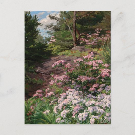 Carte Postale Rhododendron rose et blanc | Thomas Allen, Jr. (Devant)