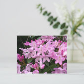 Carte Postale Rhododendrons II (Debout devant)