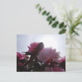 Carte Postale Rhododendrons roses avec Sunlight do-it-yourself c (Debout devant)