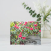 Carte Postale Rhodos rouges - Pensant à vous... (Debout devant)