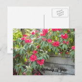 Carte Postale Rhodos rouges - Pensant à vous... (Devant / Derrière)