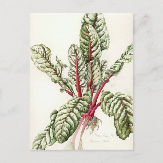 Carte Postale Rhubarb Chard 1992 (Devant)