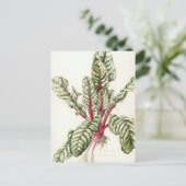 Carte Postale Rhubarb Chard 1992 (Debout devant)
