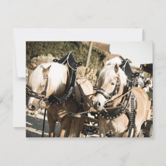 CARTE POSTALE RHUMER DE LA FÊTE D'AUTOMNE DE LA HAYE