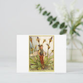 Carte Postale Ribwort Plaintain Fée (Debout devant)
