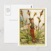 Carte Postale Ribwort Plaintain Fée (Devant / Derrière)