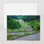 Carte Postale Rice Terraces of Banaue, Luzon (Devant / Derrière)