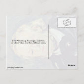 Carte Postale Richard Wagner-Portrait Par Pierre-Auguste Renoir (Dos)