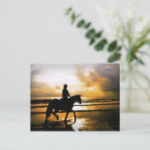 CARTE POSTALE RIDER CHEVAL SUR LA PLAGE (Debout devant)