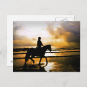 CARTE POSTALE RIDER CHEVAL SUR LA PLAGE (Devant / Derrière)
